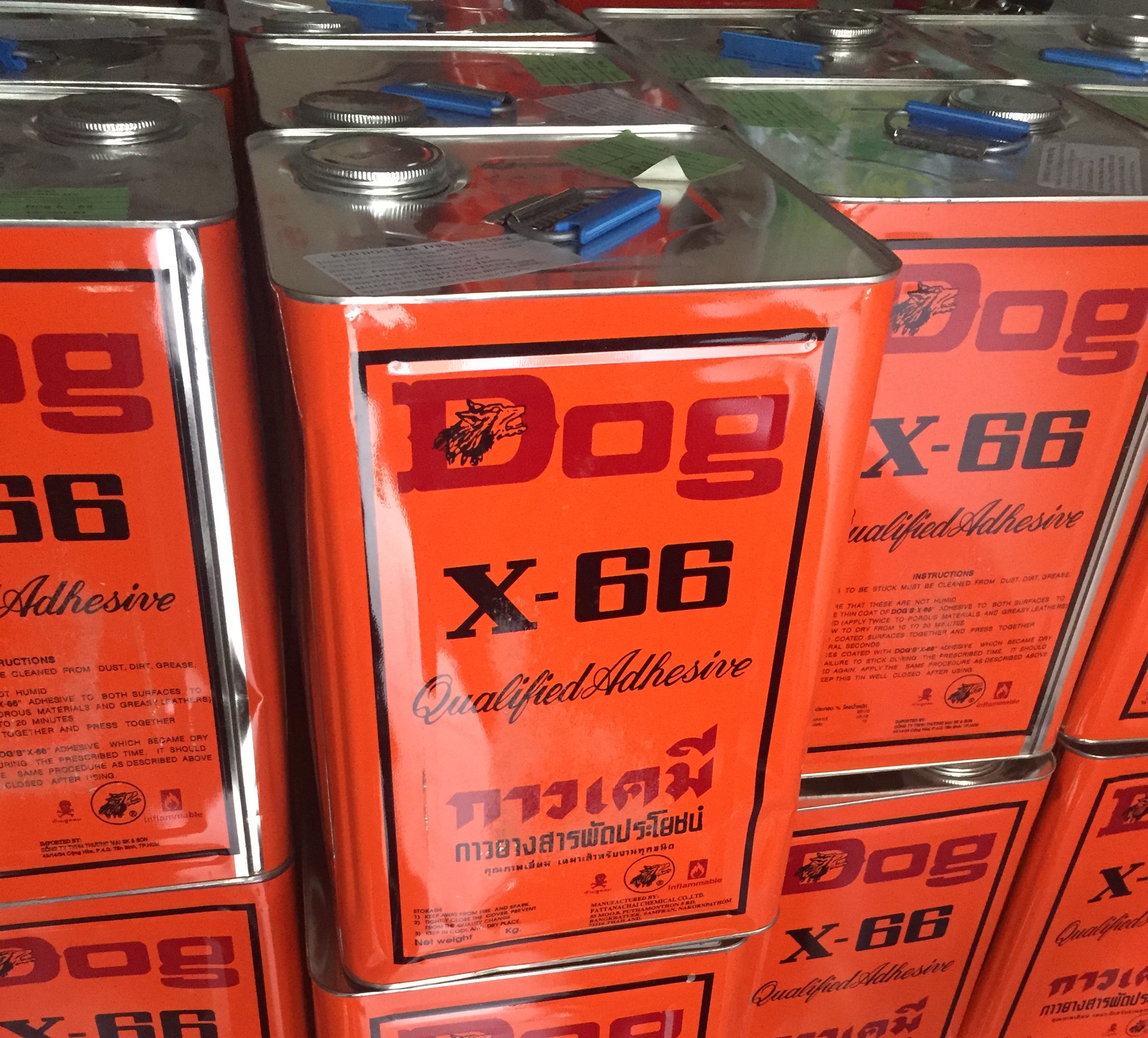 Keo Dog X66 ( 15kg )